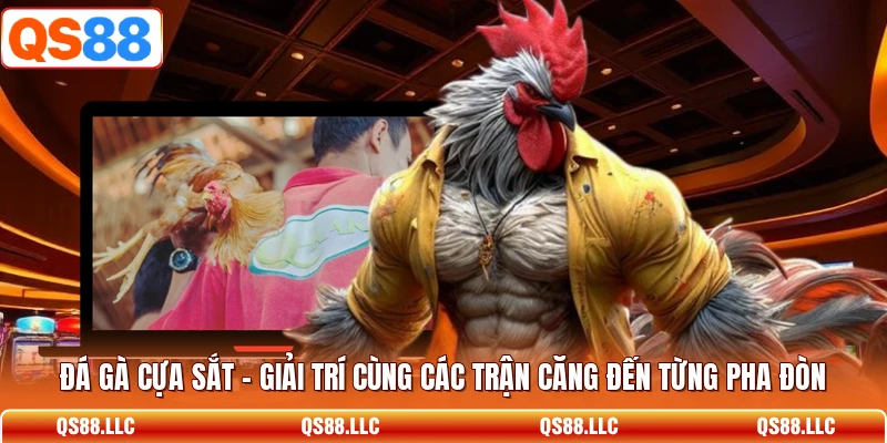 Đá Gà Cựa Sắt - Giải Trí Cùng Các Trận Căng Đến Từng Pha Đòn