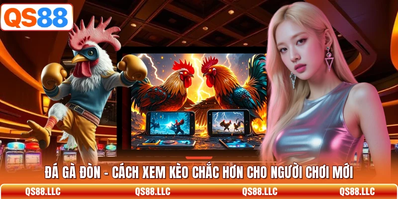 Đá Gà Đòn - Cách Xem Kèo Chắc Hơn Cho Người Chơi Mới