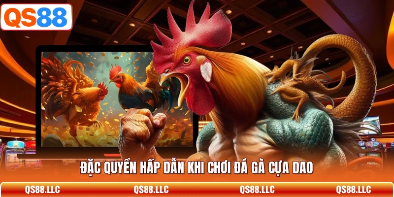 Đặc quyền hấp dẫn khi chơi đá gà cựa dao