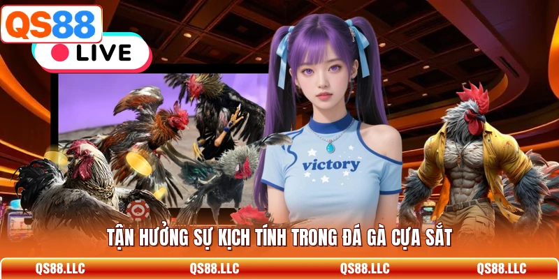 Tận hưởng sự kịch tính trong đá gà cựa sắt